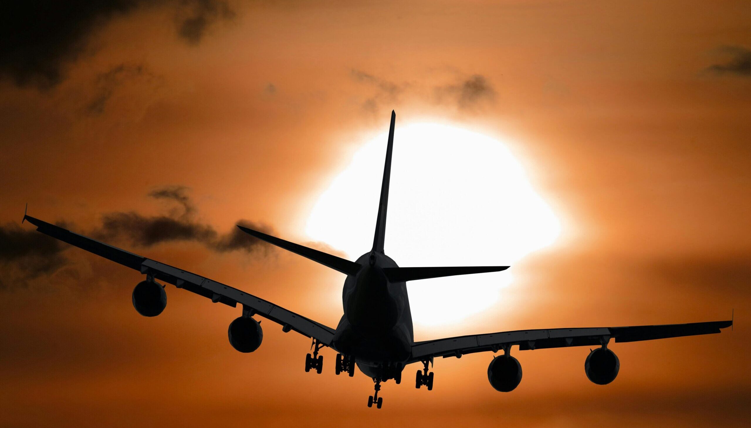 pexels-pixabay-104826